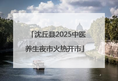沈丘县2025中医养生夜市火热开市