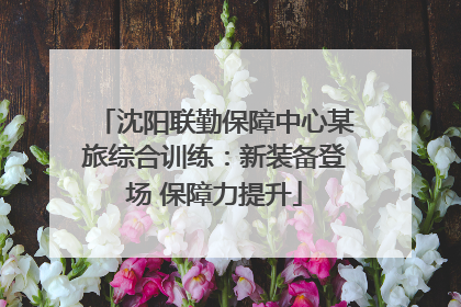 沈阳联勤保障中心某旅综合训练：新装备登场 保障力提升