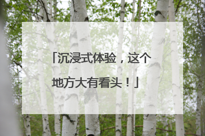 沉浸式体验，这个地方大有看头！