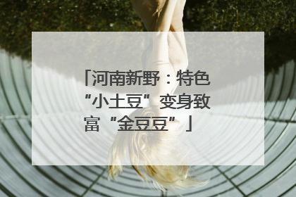 河南新野：特色“小土豆”变身致富“金豆豆”