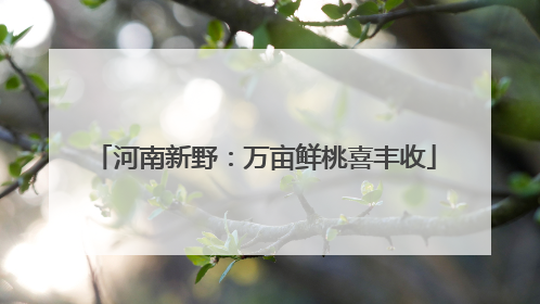 河南新野：万亩鲜桃喜丰收