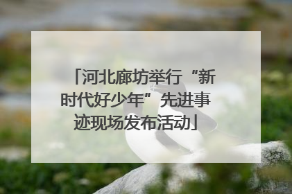 河北廊坊举行“新时代好少年”先进事迹现场发布活动