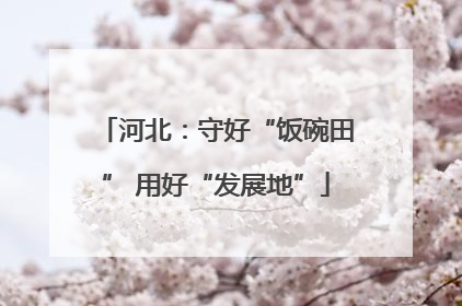 河北：守好“饭碗田” 用好“发展地”
