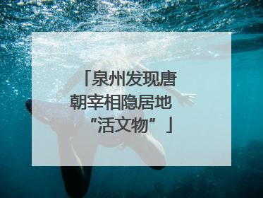 泉州发现唐朝宰相隐居地“活文物”