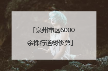 泉州市区6000余株行道树修剪