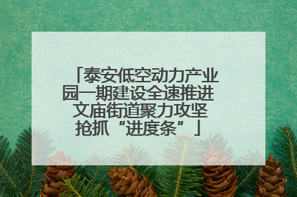 泰安低空动力产业园一期建设全速推进 文庙街道聚力攻坚抢抓“进度条”