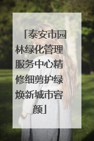 泰安市园林绿化管理服务中心精修细剪护绿焕新城市容颜