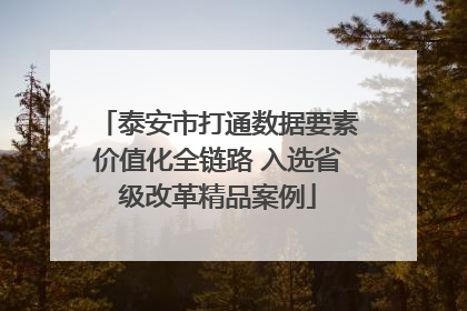 泰安市打通数据要素价值化全链路 入选省级改革精品案例