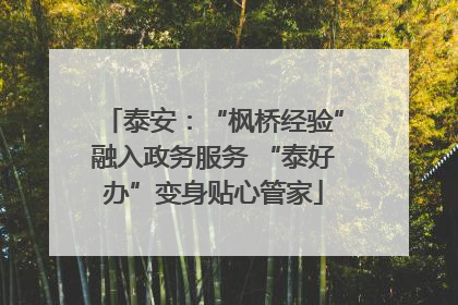 泰安：“枫桥经验”融入政务服务 “泰好办”变身贴心管家