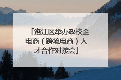 洛江区举办政校企电商（跨境电商）人才合作对接会