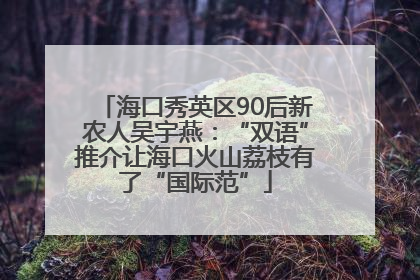 海口秀英区90后新农人吴宇燕：“双语”推介让海口火山荔枝有了“国际范”