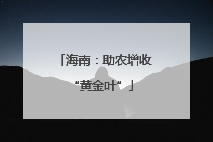 海南：助农增收 “黄金叶”