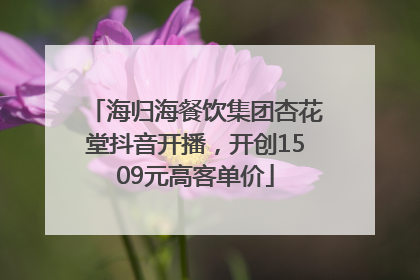 海归海餐饮集团杏花堂抖音开播，开创1509元高客单价