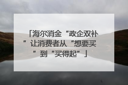 海尔消金“政企双补”让消费者从“想要买”到“买得起”
