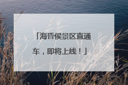 海昏侯景区直通车，即将上线！
