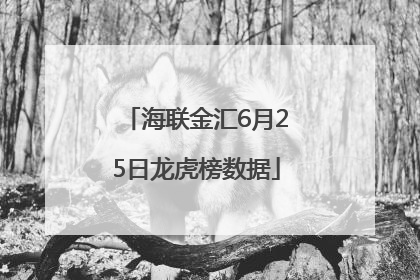 海联金汇6月25日龙虎榜数据