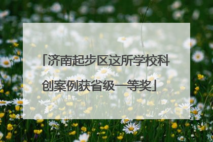 济南起步区这所学校科创案例获省级一等奖