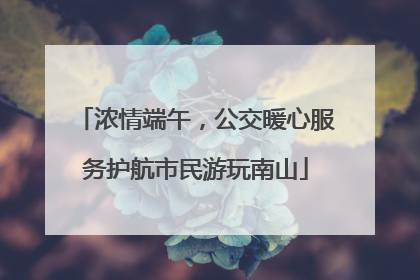 浓情端午，公交暖心服务护航市民游玩南山