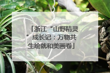 浙江“山野精灵”成长记：万物共生绘就和美画卷