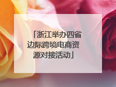浙江举办四省边际跨境电商资源对接活动