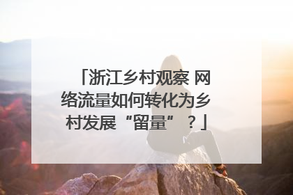 浙江乡村观察 网络流量如何转化为乡村发展“留量”？