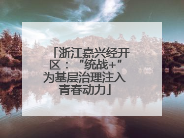 浙江嘉兴经开区：“统战+”为基层治理注入青春动力