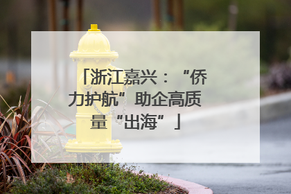 浙江嘉兴：“侨力护航”助企高质量“出海”