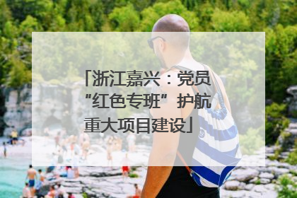 浙江嘉兴：党员“红色专班”护航重大项目建设
