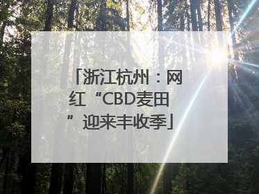 浙江杭州：网红“CBD麦田”迎来丰收季