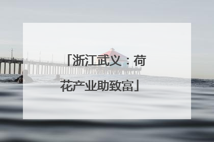 浙江武义：荷花产业助致富