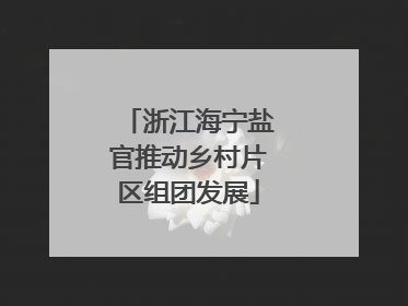 浙江海宁盐官推动乡村片区组团发展