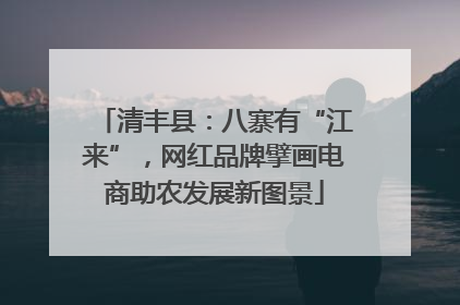 清丰县：八寨有“江来”，网红品牌擘画电商助农发展新图景
