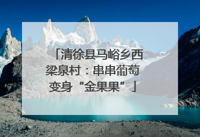 清徐县马峪乡西梁泉村：串串葡萄变身“金果果”