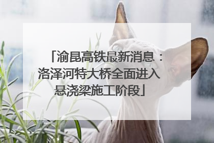 渝昆高铁最新消息：洛泽河特大桥全面进入悬浇梁施工阶段