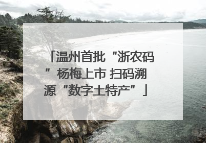 温州首批“浙农码”杨梅上市 扫码溯源“数字土特产”