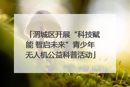 渭城区开展“科技赋能 智启未来”青少年无人机公益科普活动
