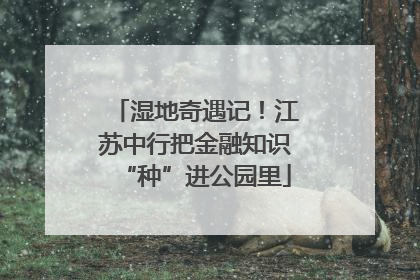 湿地奇遇记！江苏中行把金融知识“种”进公园里