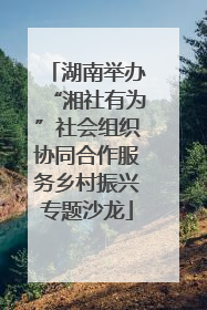湖南举办“湘社有为”社会组织协同合作服务乡村振兴专题沙龙