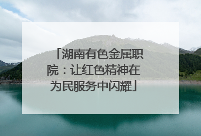 湖南有色金属职院：让红色精神在为民服务中闪耀