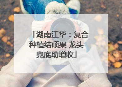 湖南江华：复合种植结硕果 龙头兜底助增收