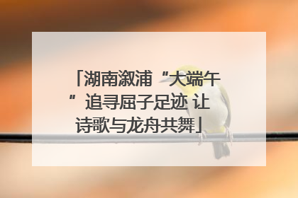 湖南溆浦“大端午”追寻屈子足迹 让诗歌与龙舟共舞