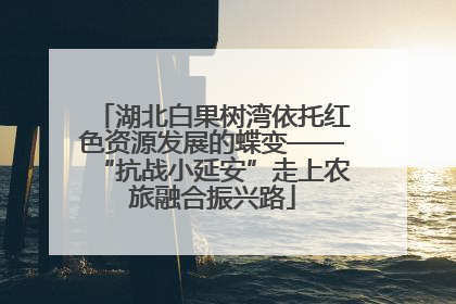湖北白果树湾依托红色资源发展的蝶变——“抗战小延安”走上农旅融合振兴路