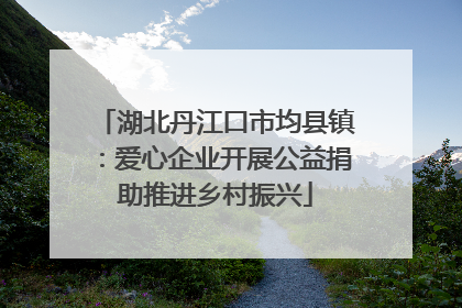 湖北丹江口市均县镇：爱心企业开展公益捐助推进乡村振兴
