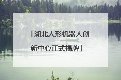 湖北人形机器人创新中心正式揭牌
