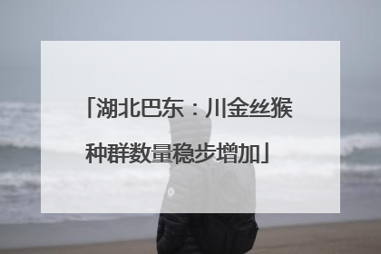 湖北巴东：川金丝猴种群数量稳步增加