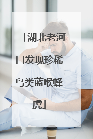湖北老河口发现珍稀鸟类蓝喉蜂虎