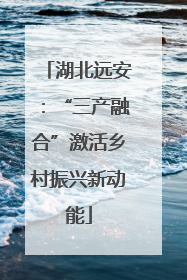 湖北远安：“三产融合”激活乡村振兴新动能