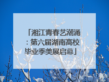 湘江青春艺潮涌：第六届湖南高校毕业季美展启幕