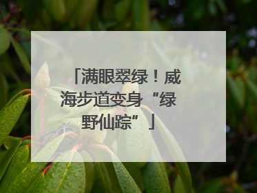 满眼翠绿！威海步道变身“绿野仙踪”