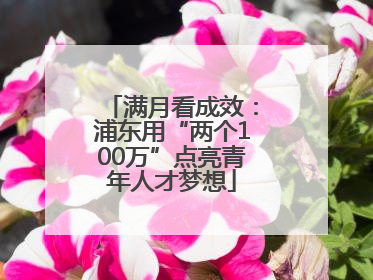 满月看成效：浦东用“两个100万”点亮青年人才梦想
